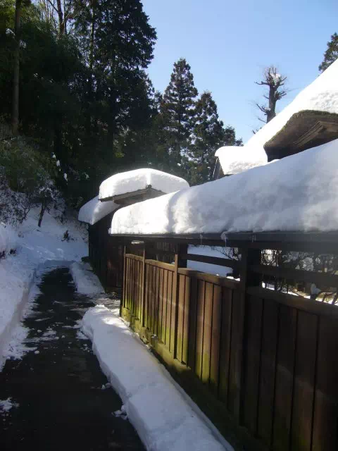 屋根の積雪