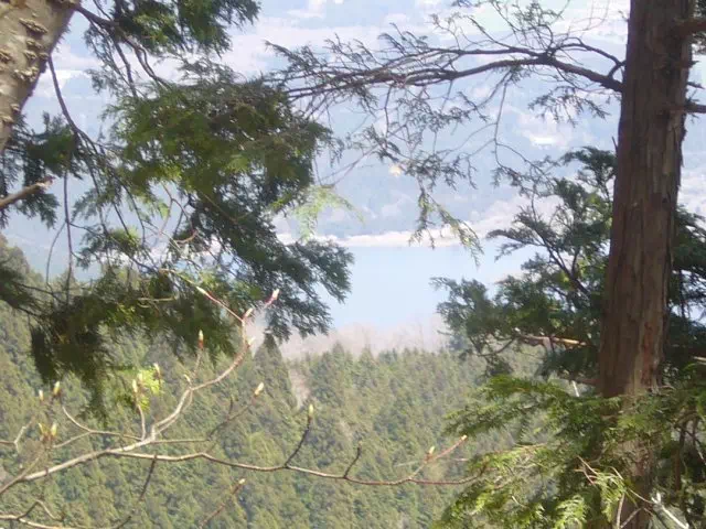 樹間に見える田貫湖