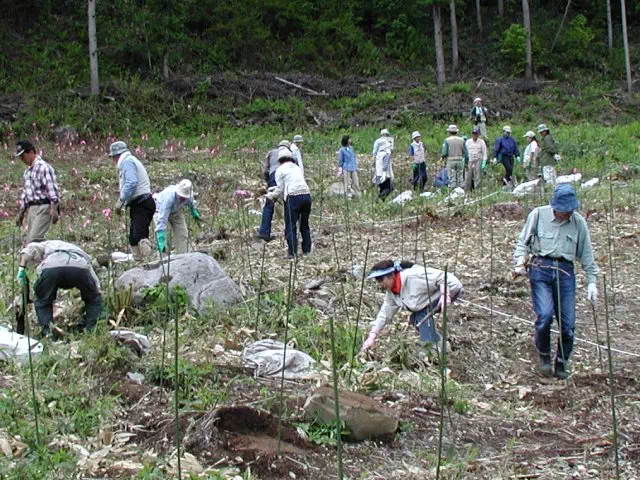 地ならし 地ならし