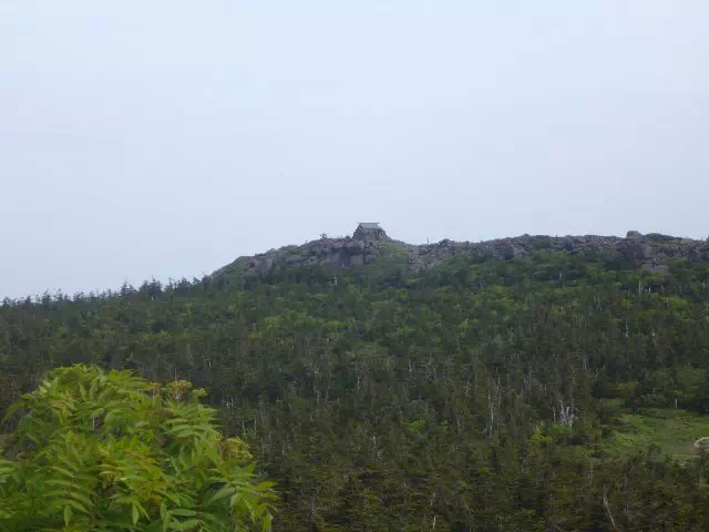 吾妻神社 吾妻神社