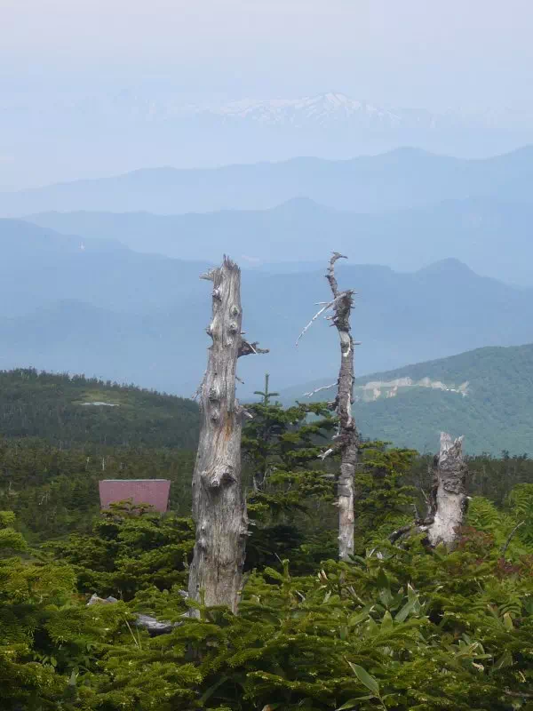 西吾妻小屋と飯豊山 西吾妻小屋と飯豊山
