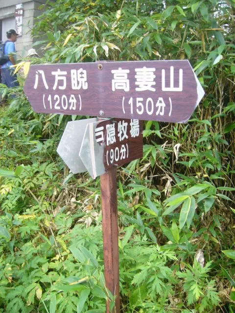 一不動分岐 一不動分岐