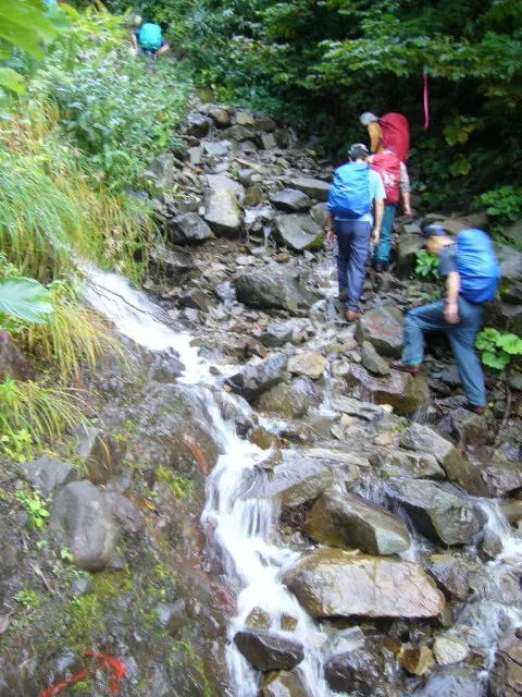 沢登り 沢登り