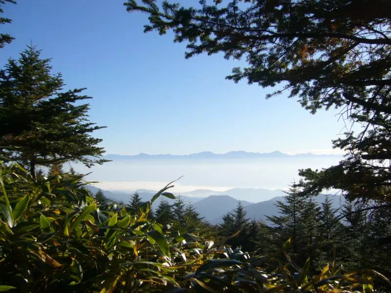 南アルプス 南アルプス