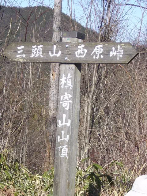 槇寄山