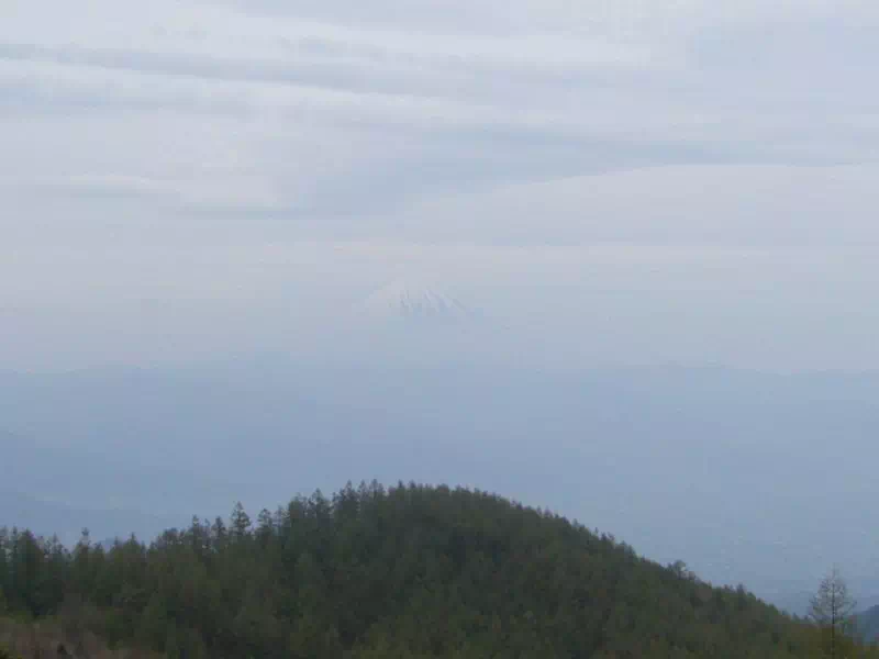 国師ケ原上からの富士山