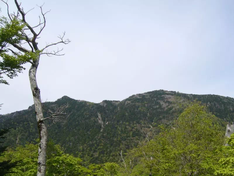 聖宝ノ宿跡手前からの大峰山(弥山・八経ケ岳) 大峰山