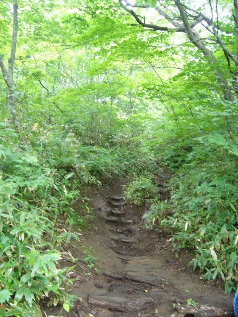 一合新道 一合新道