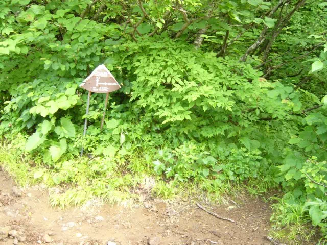 3合目連絡道 3合目連絡道