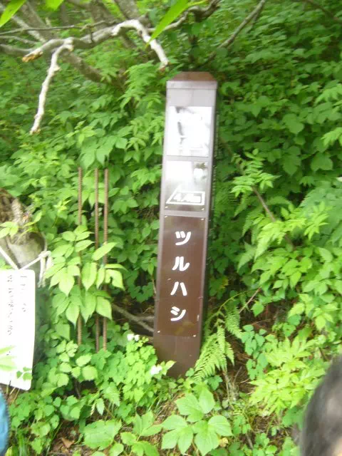 ツルハシ ツルハシ