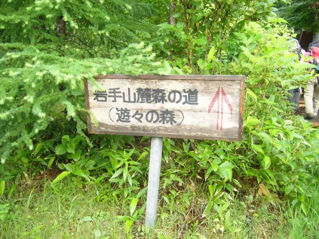 悠々の森 遊々の森