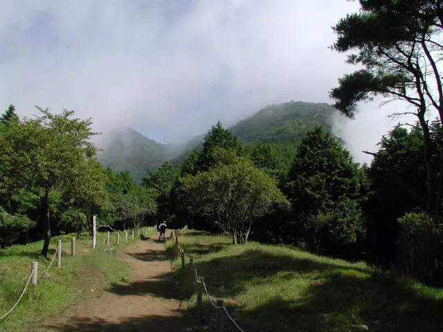 天神尾根から 天神尾根から