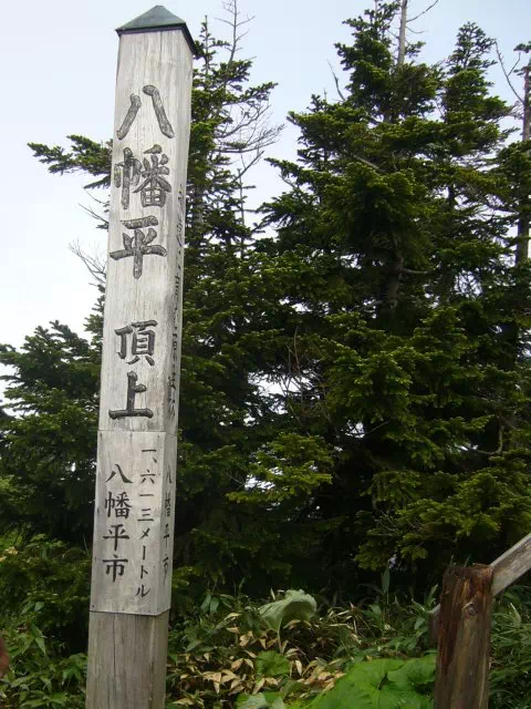 山頂 山頂