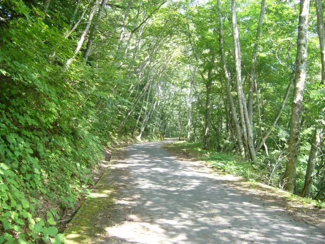 林道