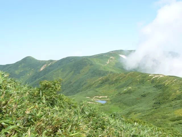 文平の池 文平の池