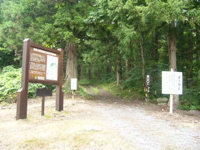 キャンプ場 キャンプ場