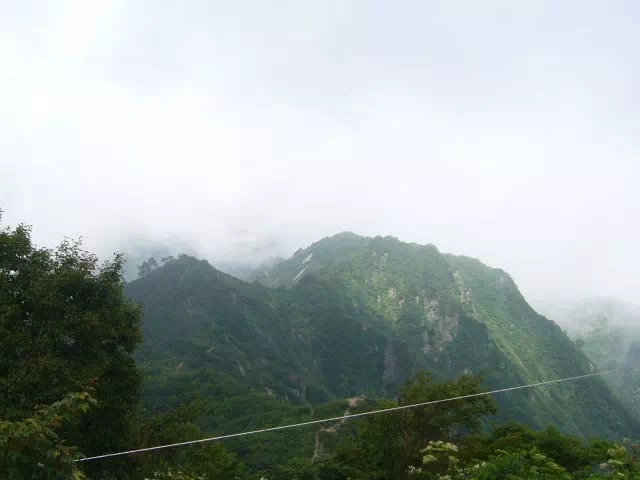 種蒔山方面 種蒔山方面