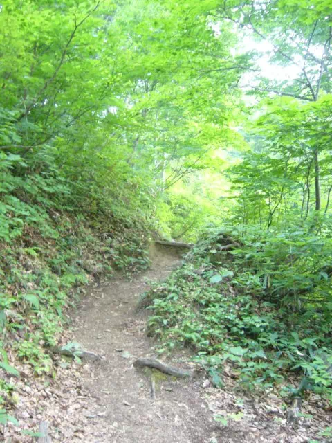 登山道 登山道