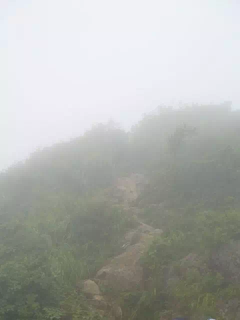 登山道 登山道