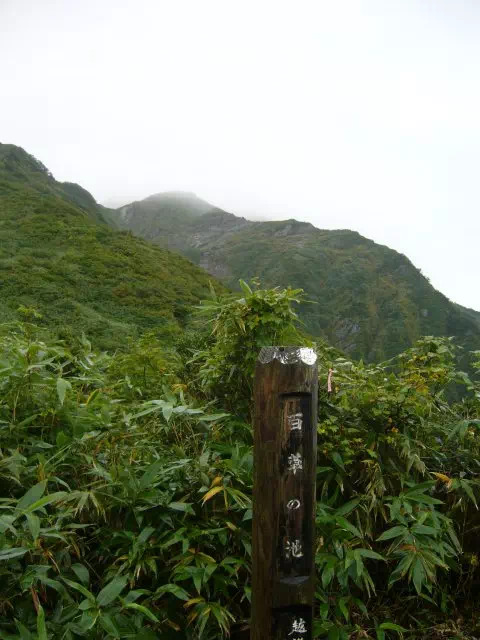 百草の池