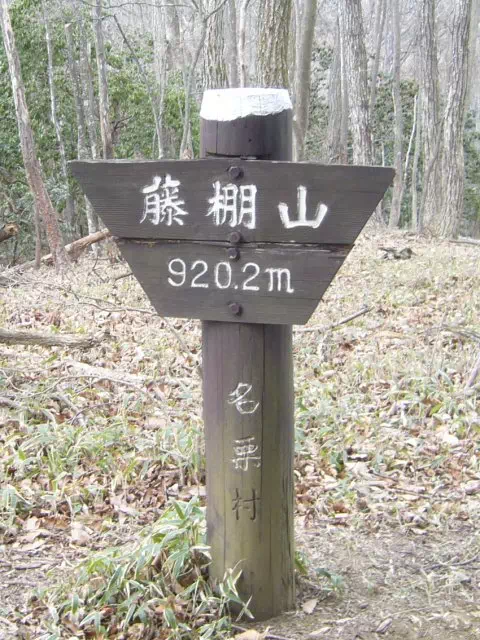 藤棚山