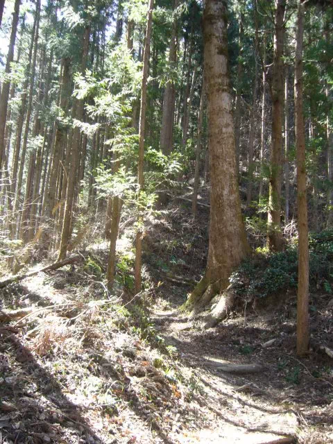 山道