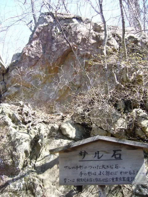 サル石