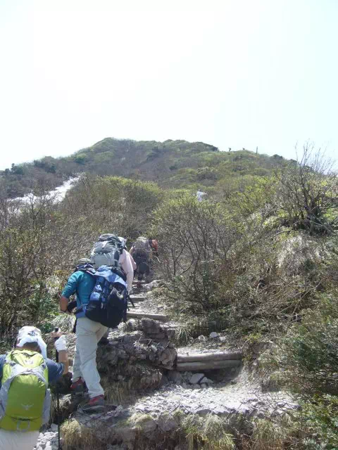 登山道