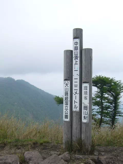 中蒜山