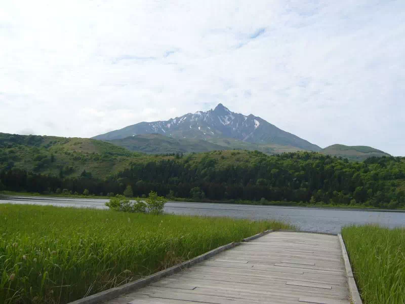 オタトマリ沼からみた利尻山