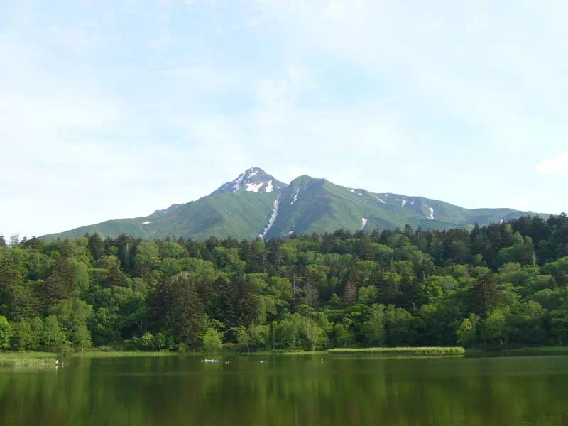 姫沼からみた利尻山