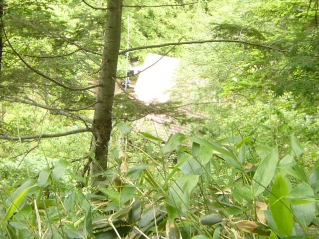 山荘屋根 山荘屋根