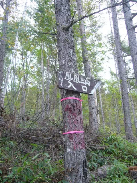 林道登山口 林道登山口
