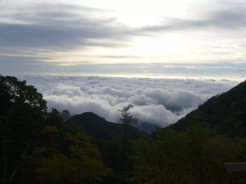 雲海 雲海