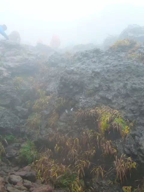 溶岩の道 溶岩の道