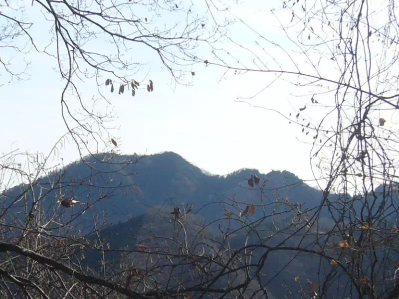 高柄山