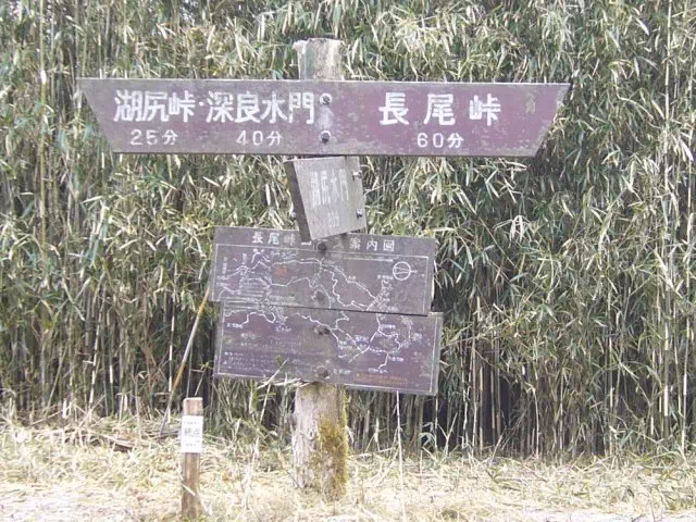 分岐 分岐