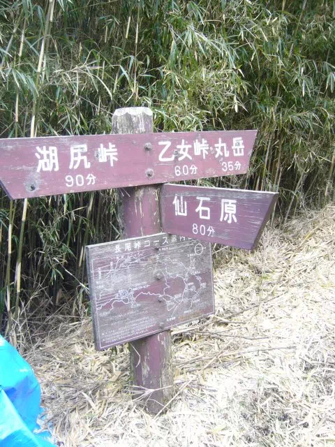 長尾分岐 長尾分岐
