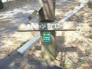 アゴニー坂 アゴニー坂