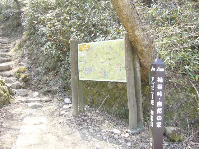 アゴニー坂 アゴニー坂