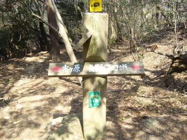 ゴロゴロ坂 ゴロゴロ坂