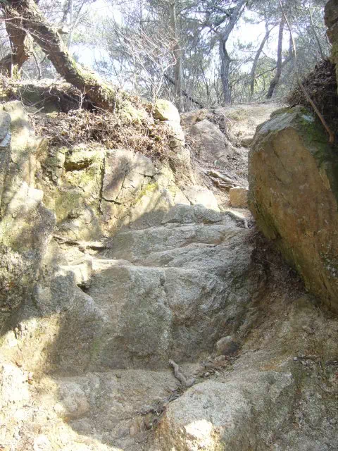 ゴロゴロ坂 ゴロゴロ坂