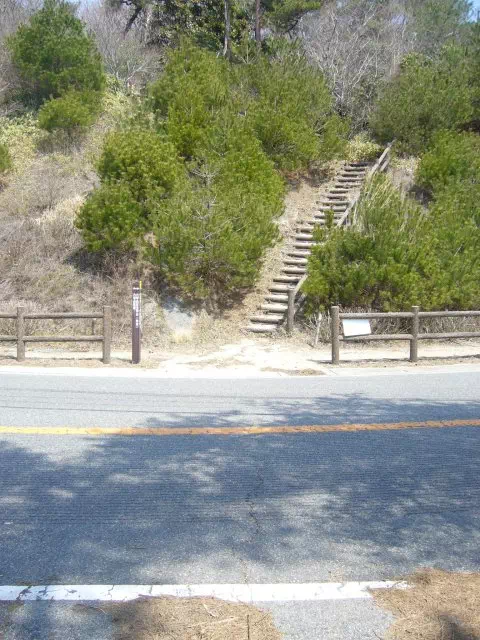 自動車道 自動車道