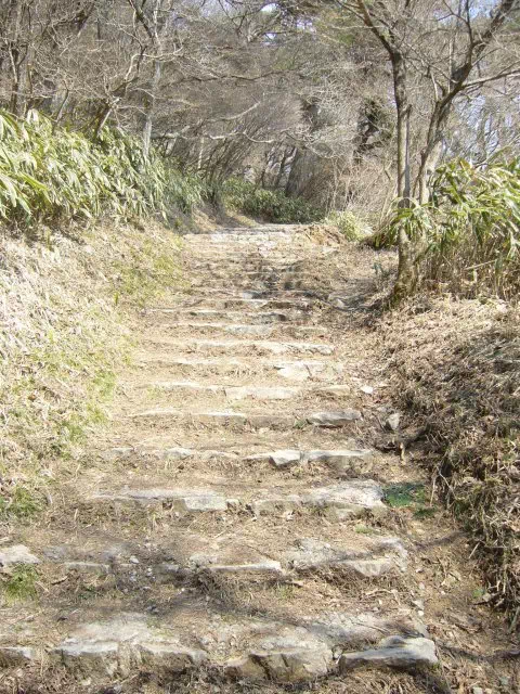 縦走路