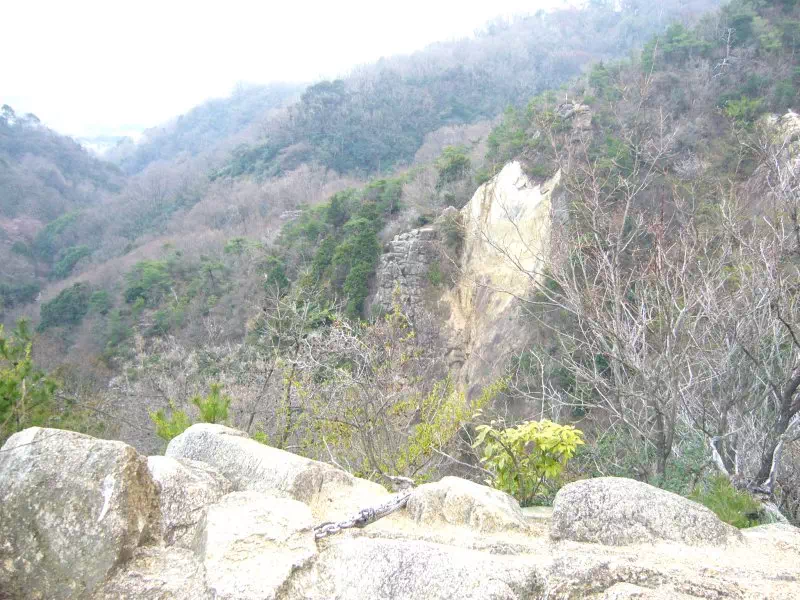 ロックガーデン ロックガーデン