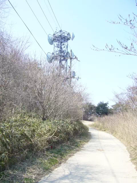 アンテナ アンテナ