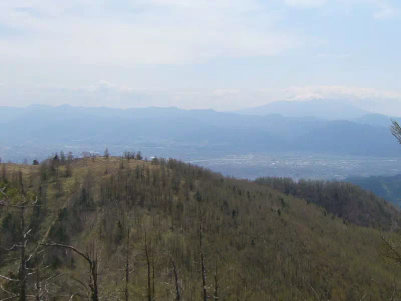 奥甘利山方面からの甘利山