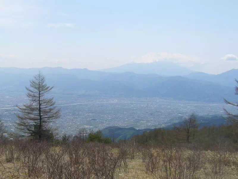 れんげツツジ群生地からの富士山
