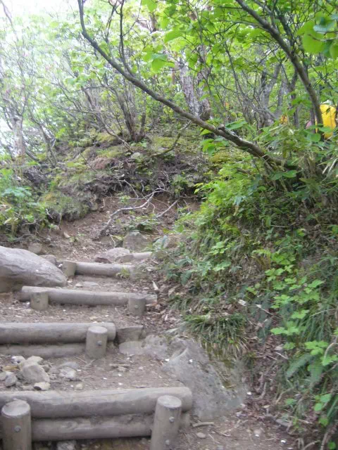 登山道 登山道
