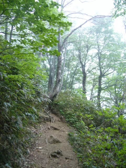登山道 登山道